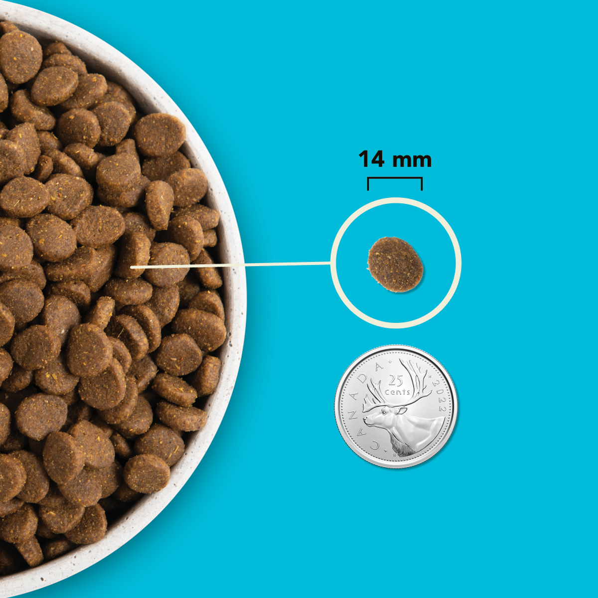 Highest Protein Pacifica Dry Dog Food ACANA Canada